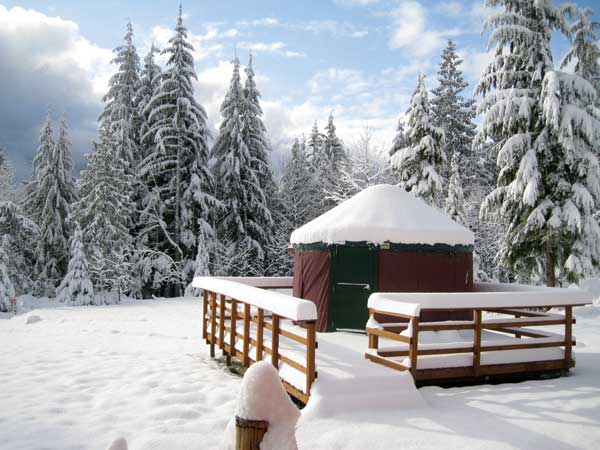 A job loss led David Capocci to open Paca Pride Guest Ranch, which offers yurt lodging for hikers.